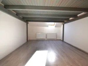 Prodej bytu 2+1, Plzeň - Lobzy, Masarykova, 88 m2