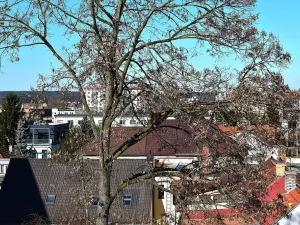 Prodej bytu 2+1, Plzeň - Lobzy, Masarykova, 88 m2