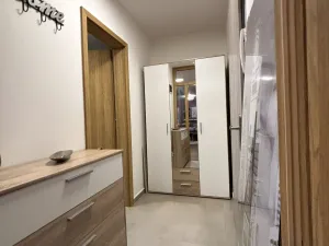 Pronájem bytu 1+kk, Plzeň - Východní Předměstí, Pallova, 37 m2