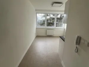 Pronájem bytu 1+kk, Kopřivnice, Komenského, 35 m2