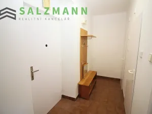 Pronájem bytu 1+1, Plzeň, Blatenská, 38 m2