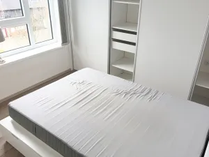 Pronájem bytu 3+kk, Nová Ves pod Pleší, Řadová, 66 m2