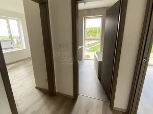 Pronájem bytu 3+kk, Nová Ves pod Pleší, Řadová, 66 m2