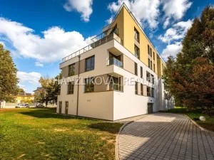 Pronájem bytu 3+kk, České Budějovice, Hálkova, 50 m2