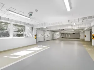 Pronájem bytu 3+kk, České Budějovice, Hálkova, 50 m2