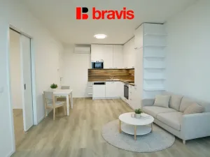 Pronájem bytu 2+kk, Brno - Štýřice, Vídeňská, 50 m2