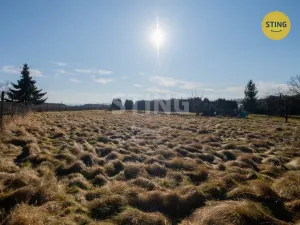 Prodej pozemku pro bydlení, Otice, Domky, 828 m2