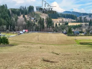 Prodej pozemku pro bydlení, Velké Karlovice, 45173 m2