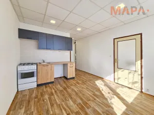 Pronájem bytu 1+1, Jirkov, Pionýrů, 36 m2