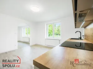 Pronájem bytu 1+1, Frýdek-Místek - Frýdek, Křižíkova, 45 m2