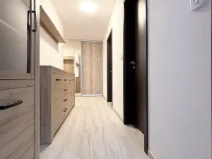 Pronájem bytu 2+kk, Olomouc, Eduarda Hamburgera, 71 m2