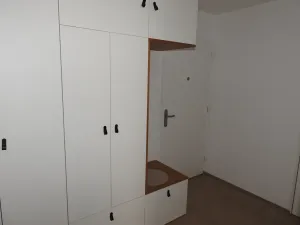 Pronájem bytu 1+kk, Praha - Žižkov, Buchovcova, 48 m2