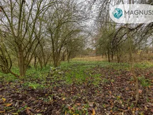 Prodej pozemku pro bydlení, Libina, 7132 m2