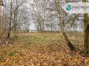 Prodej pozemku pro bydlení, Libina, 7132 m2