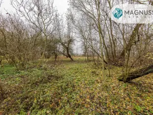 Prodej pozemku pro bydlení, Libina, 7132 m2