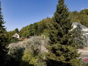 Prodej bytu 3+1, Děčín - Děčín II-Nové Město, Kamenická, 64 m2