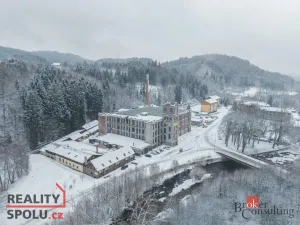 Prodej výrobních prostor, Velké Hamry - Bohdalovice, 14500 m2