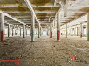 Prodej výrobních prostor, Velké Hamry - Bohdalovice, 14500 m2