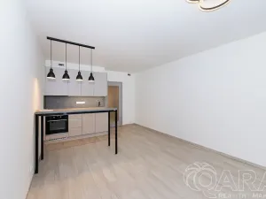 Prodej bytu 1+kk, Praha - Hloubětín, Poděbradská, 32 m2