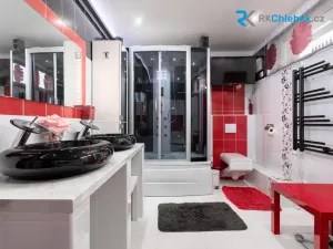 Prodej - jiné, Frýdek-Místek, H. Salichové, 345 m2