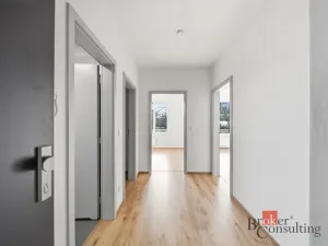 Pronájem bytu 2+kk, Pardubice - Pardubičky, Nová Tesla, 53 m2