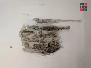 Prodej chalupy, Loužnice, 62 m2