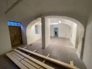 Prodej obchodního prostoru, Mladá Vožice, Husovo náměstí, 264 m2