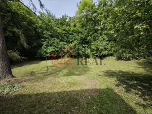 Prodej rodinného domu, Dětenice - Brodek, 183 m2