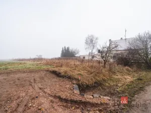 Prodej pozemku pro bydlení, Olešná, 2187 m2