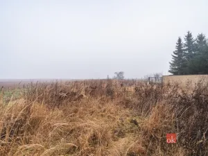 Prodej pozemku pro bydlení, Olešná, 2187 m2