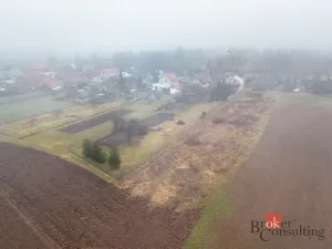 Prodej pozemku pro bydlení, Olešná, 2187 m2