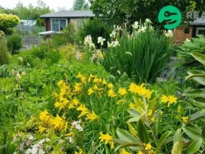 Prodej chaty, Kadaň - Tušimice, 30 m2