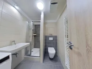 Pronájem bytu 1+kk, Brno, Vranovská, 29 m2