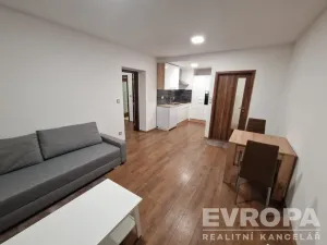 Pronájem bytu 2+kk, Plzeň - Jižní Předměstí, U Borského parku, 52 m2
