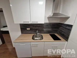 Pronájem bytu 2+kk, Plzeň - Jižní Předměstí, U Borského parku, 52 m2