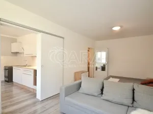 Prodej bytu 1+1, Milovice, Višňová, 42 m2