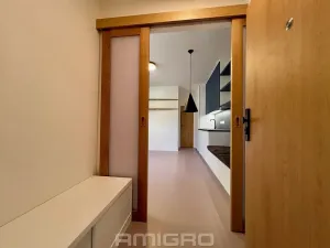Pronájem bytu 1+kk, Brno, Peroutková, 25 m2