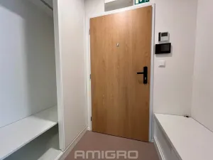 Pronájem bytu 1+kk, Brno, Peroutková, 25 m2