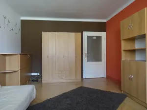 Pronájem bytu 1+1, Brno, Slatinská, 48 m2