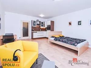 Pronájem bytu 1+kk, Praha, Trmická, 40 m2