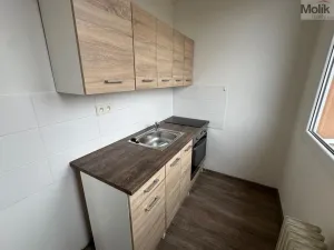 Pronájem bytu 1+1, Most, U Stadionu, 26 m2