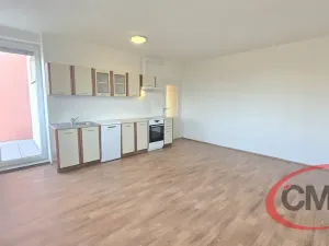 Pronájem bytu 2+kk, Praha, Hnězdenská, 54 m2