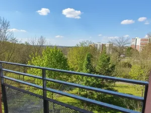 Pronájem bytu 2+kk, Praha, Hnězdenská, 54 m2