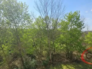 Pronájem bytu 2+kk, Praha, Hnězdenská, 54 m2