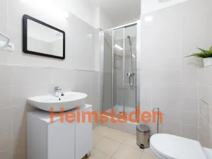 Pronájem bytu 2+1, Plzeň - Jižní Předměstí, Magisterská, 54 m2