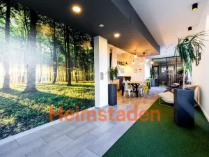 Pronájem bytu 2+1, Plzeň - Jižní Předměstí, Magisterská, 54 m2