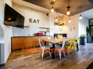 Pronájem bytu 2+1, Plzeň - Jižní Předměstí, Magisterská, 54 m2