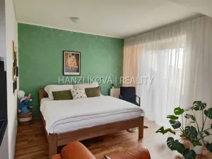 Pronájem bytu 1+kk, České Budějovice - České Budějovice 3, Pekárenská, 35 m2