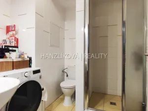 Pronájem bytu 1+kk, České Budějovice - České Budějovice 3, Pekárenská, 35 m2