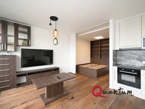 Pronájem bytu 1+kk, Praha - Dejvice, Lindleyova, 59 m2